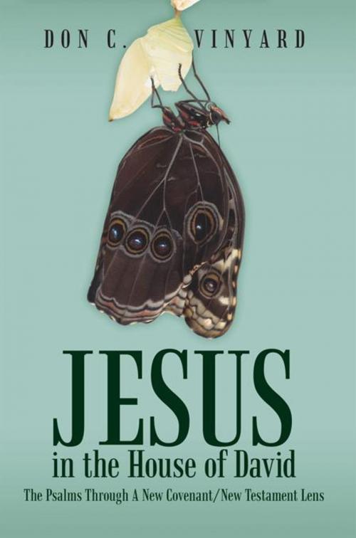 Cover of the book Jesus in the House of David by Don C. Vinyard, WestBow Press