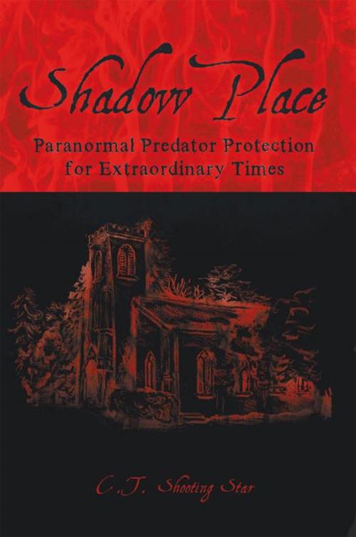 Cover of the book Shadow Place by C.T. Shooting Star, iUniverse
