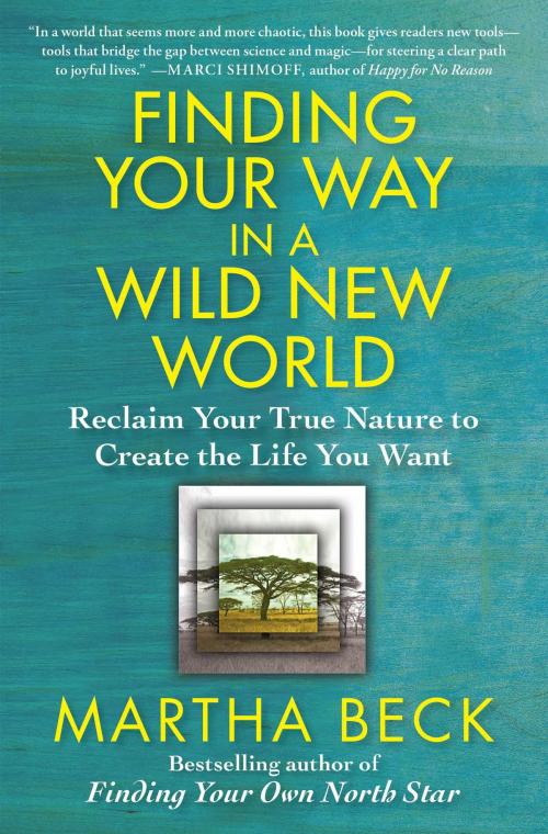 Cover of the book Finding Your Way in a Wild New World by Martha Beck, Atria Books
