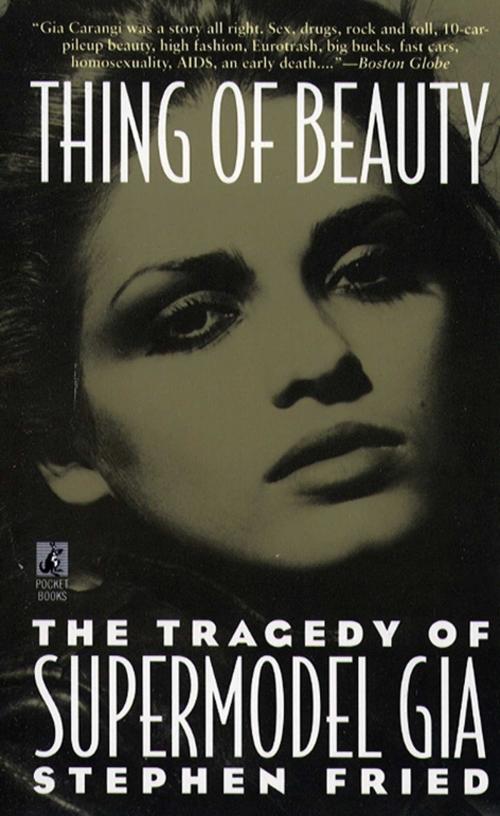 Cover of the book Thing of Beauty by Stephen Fried, Pocket Books