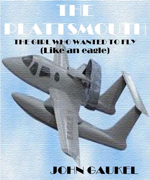 Cover of the book The Plattsmouth by John Gaukel, John Gaukel