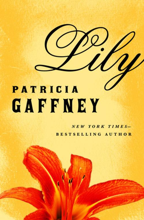 Cover of the book Lily by Patricia Gaffney, Open Road Media