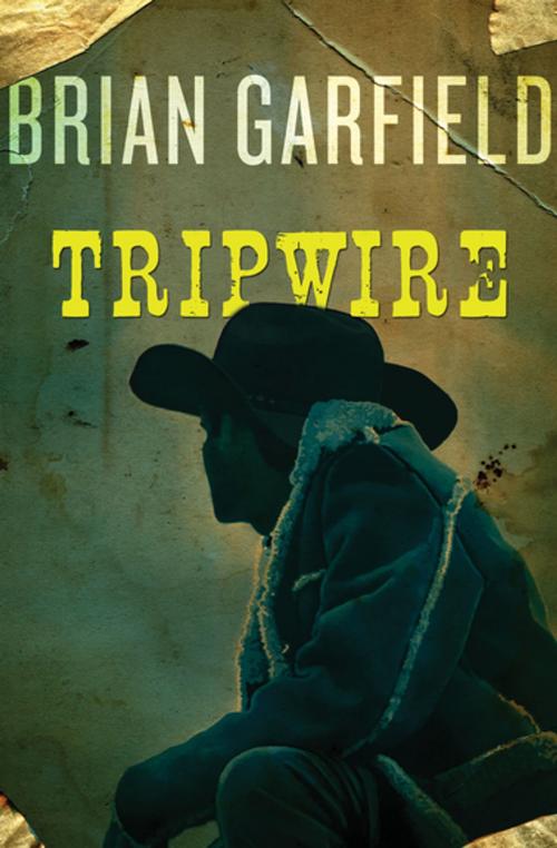 Cover of the book Tripwire by Brian Garfield, Open Road Media
