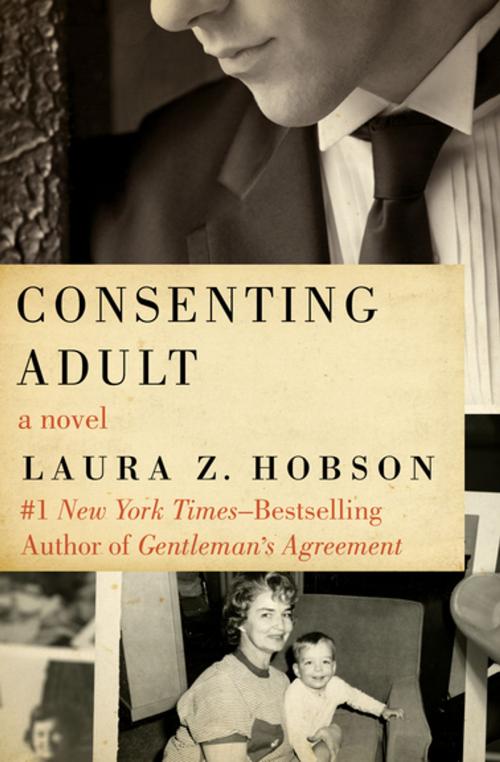 Cover of the book Consenting Adult by Laura Z. Hobson, Open Road Media