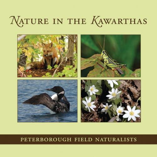 Cover of the book Nature in the Kawarthas by Peterborough Field Naturalists, Dundurn
