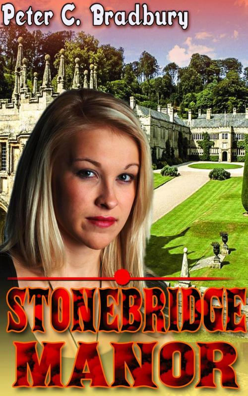 Cover of the book Stonebridge Manor by Peter C. Bradbury, Peter C. Bradbury