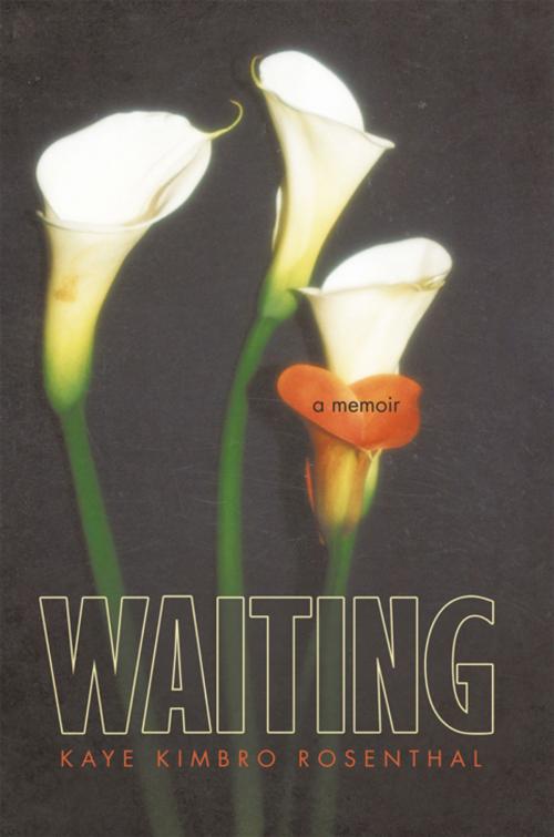 Cover of the book Waiting by Kaye Kimbro Rosenthal, iUniverse