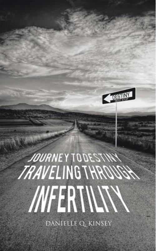 Cover of the book Journey to Destiny, Traveling Through Infertility by Danielle Q. Kinsey, iUniverse