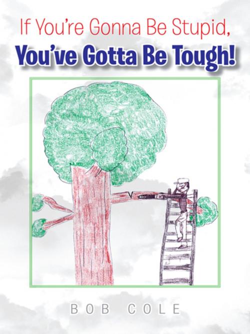 Cover of the book If You’Re Gonna Be Stupid, You’Ve Gotta Be Tough! by Bob Cole, iUniverse