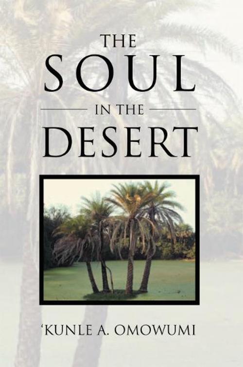 Cover of the book The Soul in the Desert by Lisa A. Murray, Xlibris UK