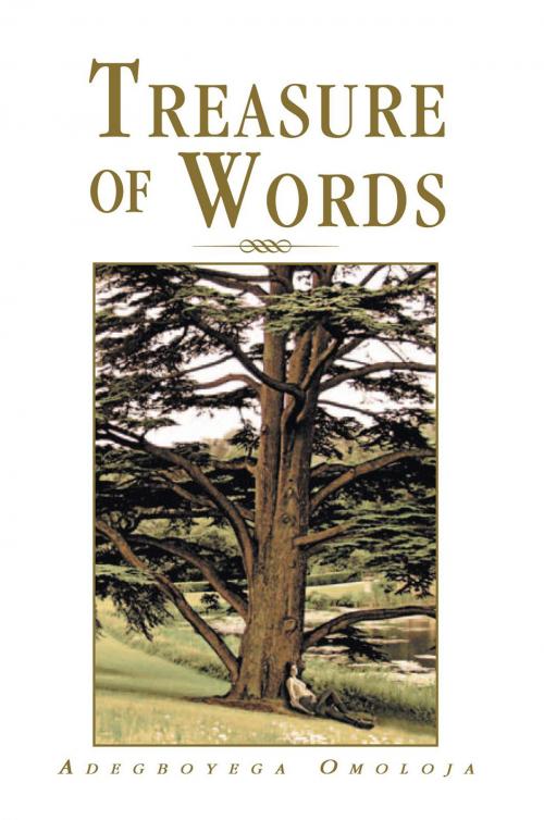 Cover of the book Treasure of Words by Adegboyega Omoloja, Xlibris UK