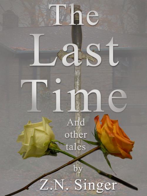 Cover of the book For the Last Time and Other Tales by Z.N. Singer, Z.N. Singer