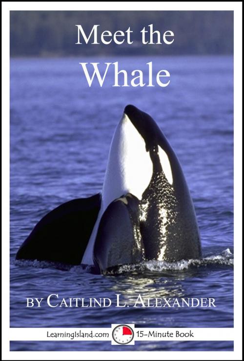 Cover of the book Meet the Whale: A 15-Minute Book by Caitlind L. Alexander, LearningIsland.com