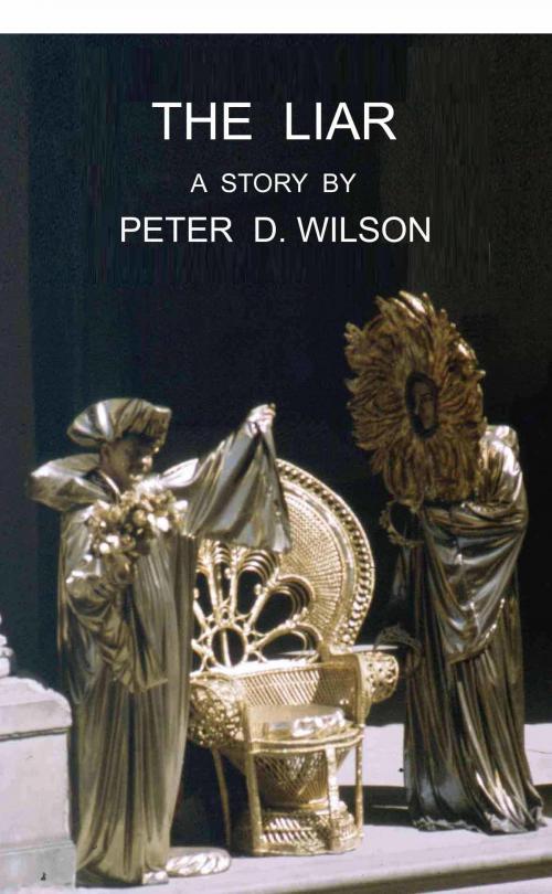 Cover of the book The Liar by Peter D Wilson, Peter D Wilson