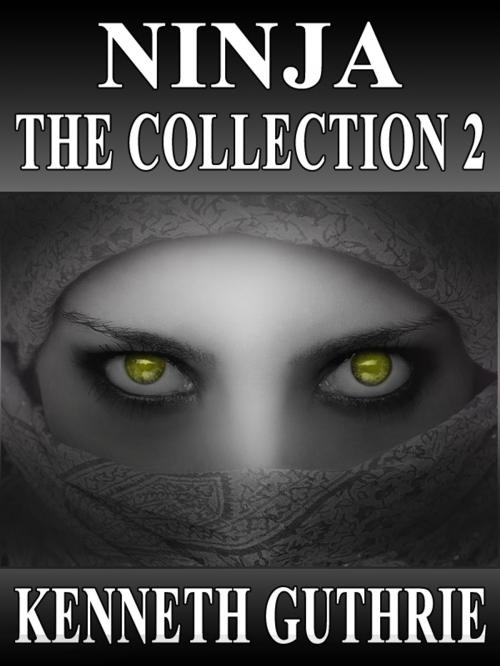 Cover of the book Ninja: The Collection 2 (Stories 5-8) by Kenneth Guthrie, Lunatic Ink Publishing