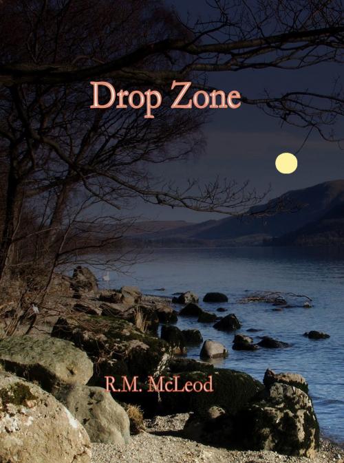 Cover of the book Drop Zone by Ross McLeod, Ross McLeod