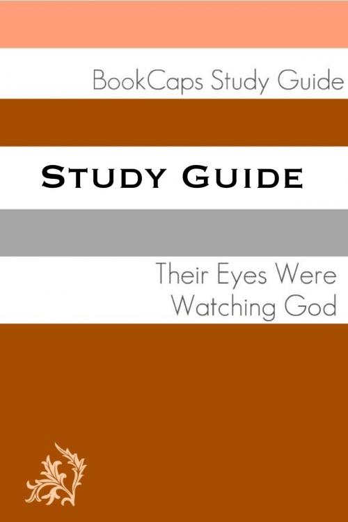 Cover of the book Study Guide: Their Eyes Were Watching God (A BookCaps Study Guide) by BookCaps, BookCaps