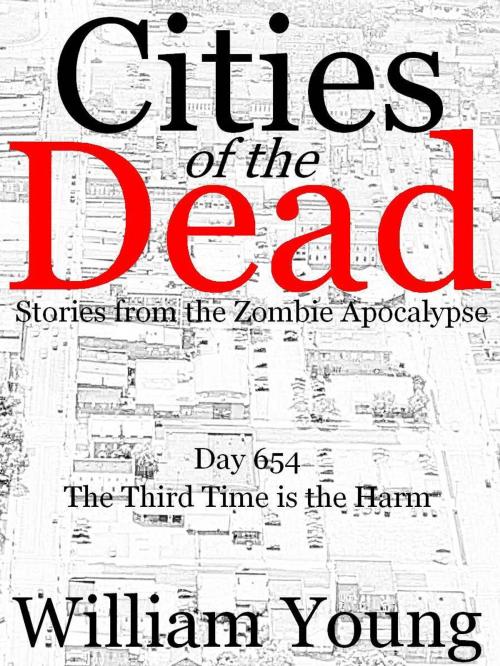 Cover of the book The Third Time is the Harm (Cities of the Dead) by William Young, William Young