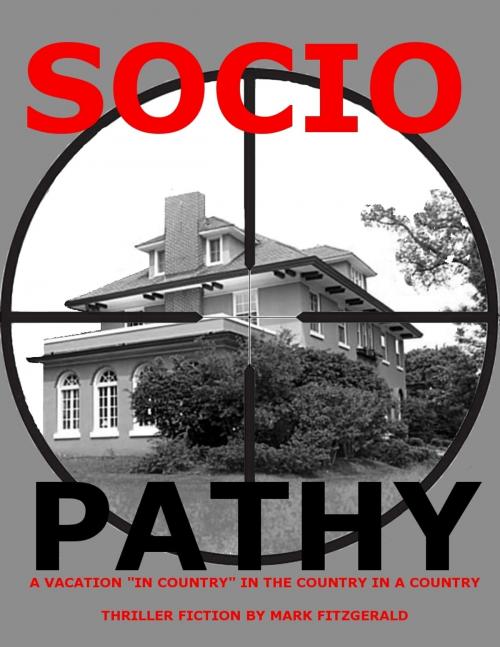 Cover of the book Sociopathy by Mark Fitzgerald, Mark Fitzgerald