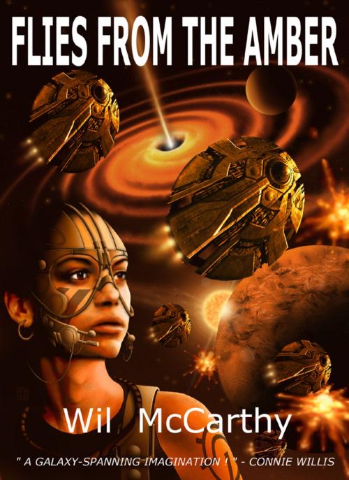 Cover of the book Flies from the Amber by Wil McCarthy, ReAnimus Press