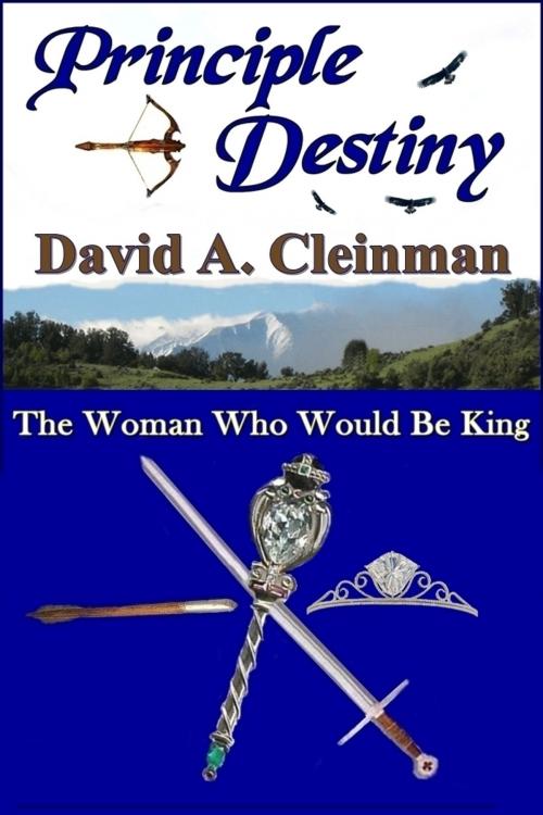 Cover of the book Principle Destiny by David Cleinman, David Cleinman