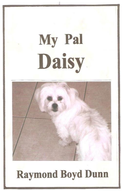 Cover of the book My Pal Daisy by Raymond Boyd Dunn, Raymond Boyd Dunn