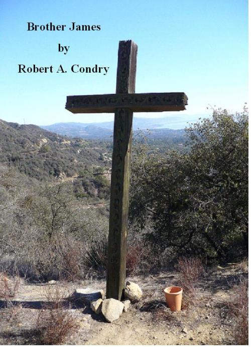 Cover of the book Brother James by Robert Condry, Robert Condry