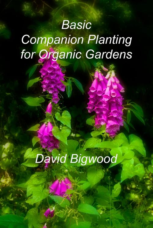 Cover of the book Basic Companion Planting for Organic Gardens by David Bigwood, David Bigwood