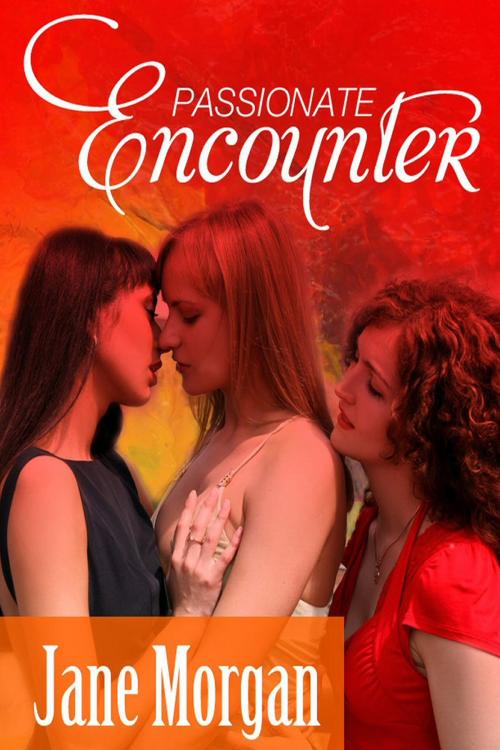 Cover of the book Passionate Encounter by Jane Morgan, Ray Caran