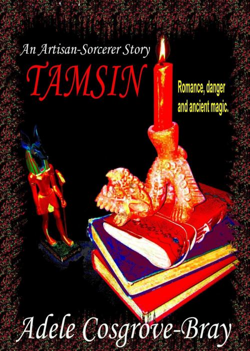 Cover of the book Tamsin: An Artisan-Sorcerer Story by Adele Cosgrove-Bray, Adele Cosgrove-Bray