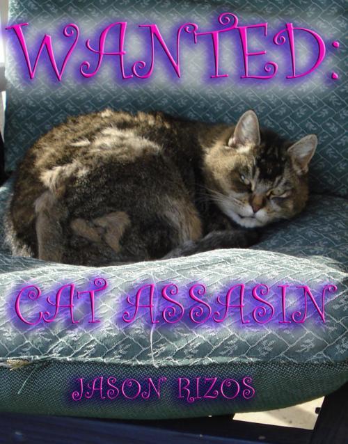 Cover of the book Wanted: Cat Assassin by Jason Rizos, Jason Rizos