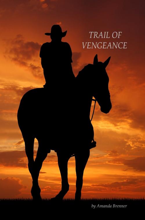 Cover of the book Trail of Vengeance by Amanda Brenner, Amanda Brenner