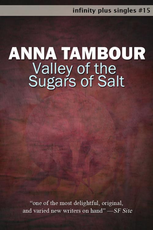 Cover of the book Valley of the Sugars of Salt by Anna Tambour, infinity plus
