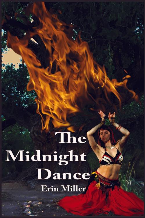 Cover of the book The Midnight Dance by Erin Miller, Erin Miller