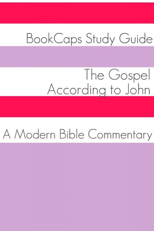 Cover of the book The Gospel of John: A Modern Bible Commentary by BookCaps, BookCaps