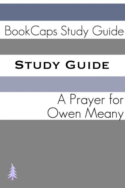 Cover of the book Study Guide: A Prayer for Owen Meany (A BookCaps Study Guide) by BookCaps, BookCaps