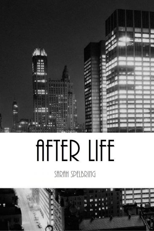 Cover of the book After Life by Sarah Spelbring, Sarah Spelbring