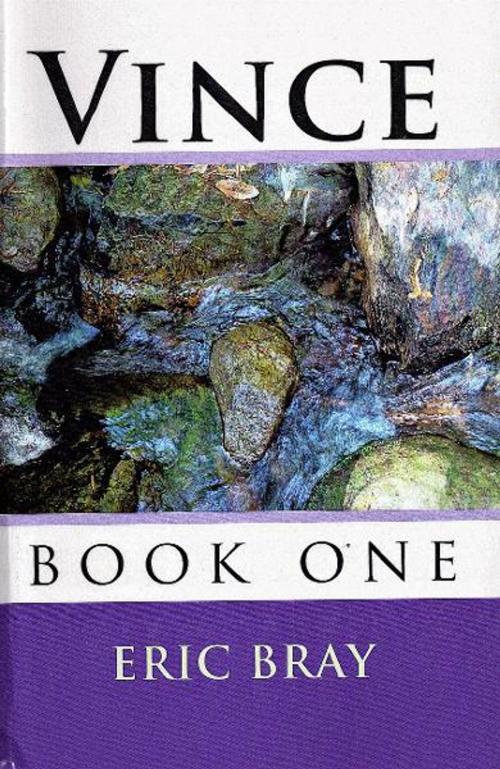 Cover of the book Vince: book 1 by Eric Bray, Eric Bray