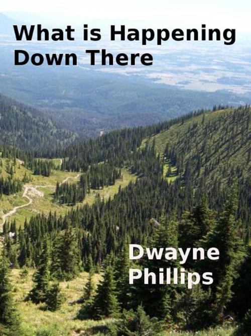 Cover of the book What is Happening Down There by Dwayne Phillips, Dwayne Phillips