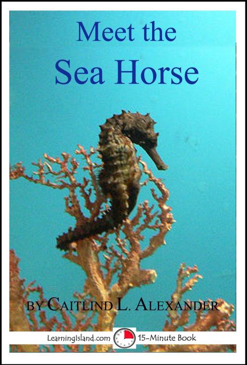 Cover of the book Meet the Sea Horse: A 15-Minute Book by Caitlind L. Alexander, LearningIsland.com
