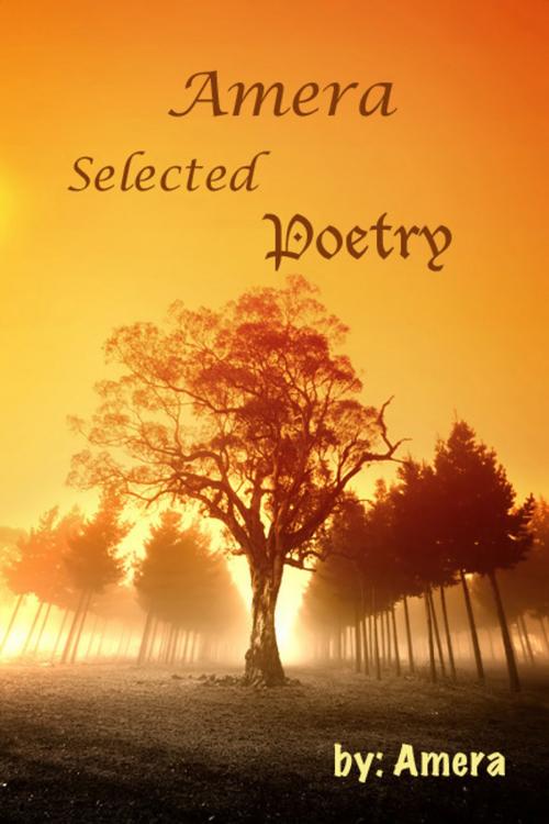 Cover of the book Amera: Selected Poetry by Amera Andersen, Amera Andersen