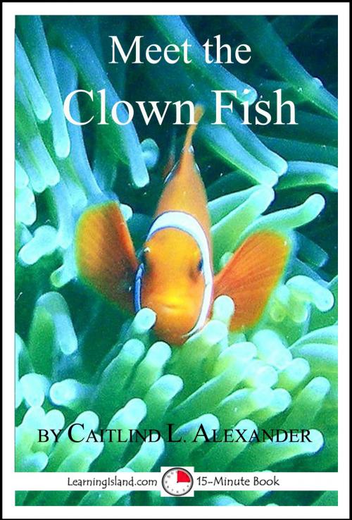 Cover of the book Meet the Clown Fish: A 15-Minute Book by Caitlind L. Alexander, LearningIsland.com