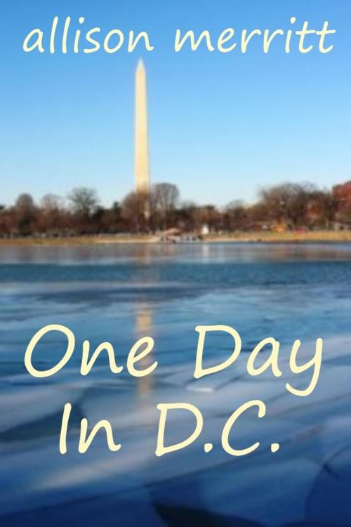 Cover of the book One Day In D.C. by Allison Merritt, Allison Merritt