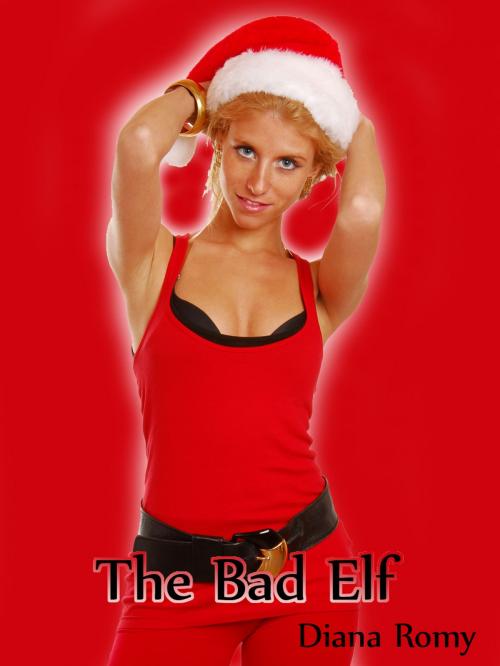 Cover of the book The Bad Elf by NovaStorm Media, NovaStorm Media