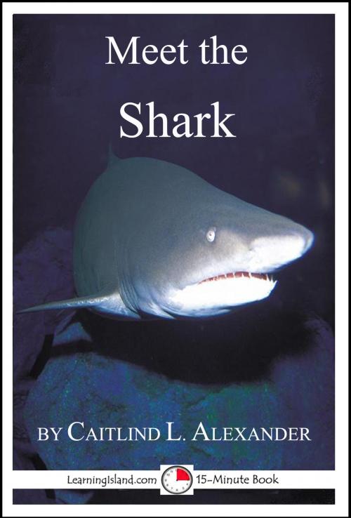 Cover of the book Meet the Shark: A 15-Minute Book by Caitlind L. Alexander, LearningIsland.com