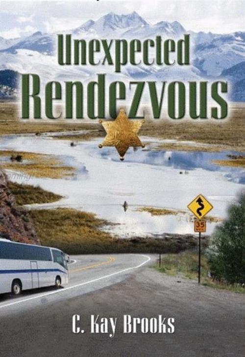 Cover of the book Unexpected Rendezvous by CK Brooks, CK Brooks