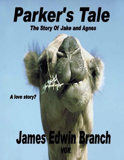 Cover of the book Parker's Tale (The story of Jake and Agnes) by James Edwin Branch, James Edwin Branch