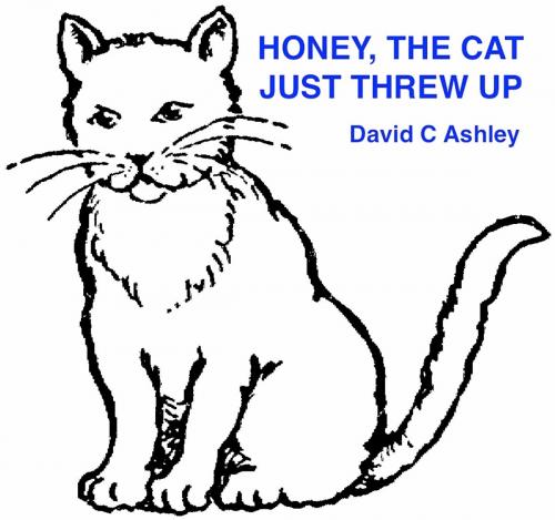 Cover of the book Honey,The Cat, Just Threw Up! by David C. Ashley, David C. Ashley