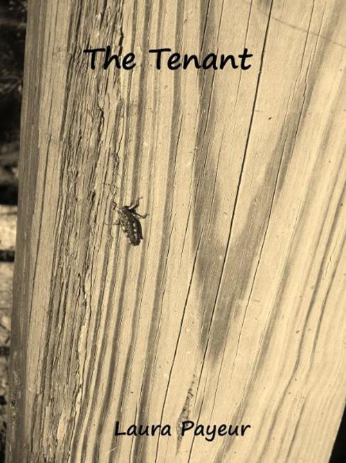 Cover of the book The Tenant by Laura Payeur, Laura Payeur