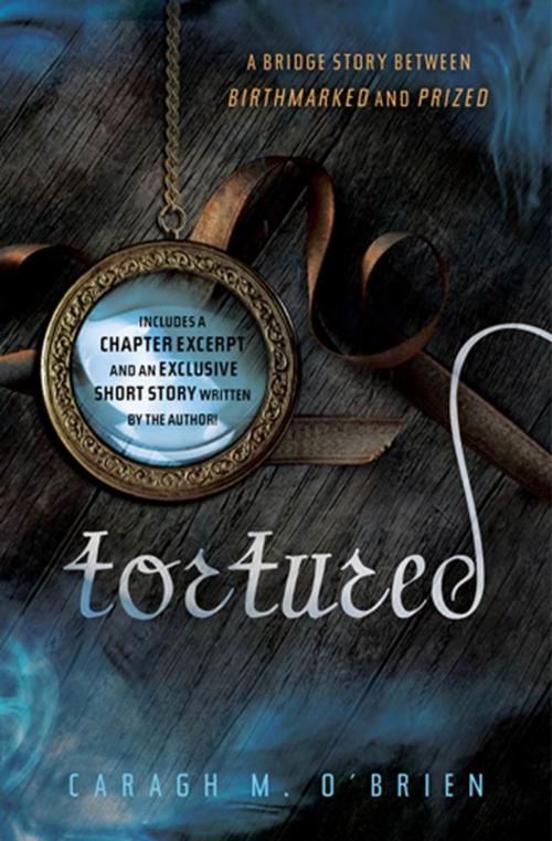 Cover of the book Tortured by Caragh M. O'Brien, Roaring Brook Press
